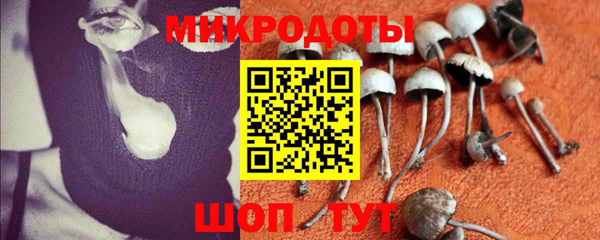 Галлюциногенные грибы мухоморы Калач-на-Дону